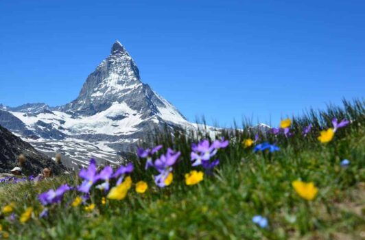 Sustainability in Switzerland: Recent developments