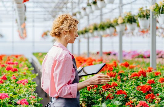 How Royal FloraHolland grew a global cash management bank relationship from scratch
