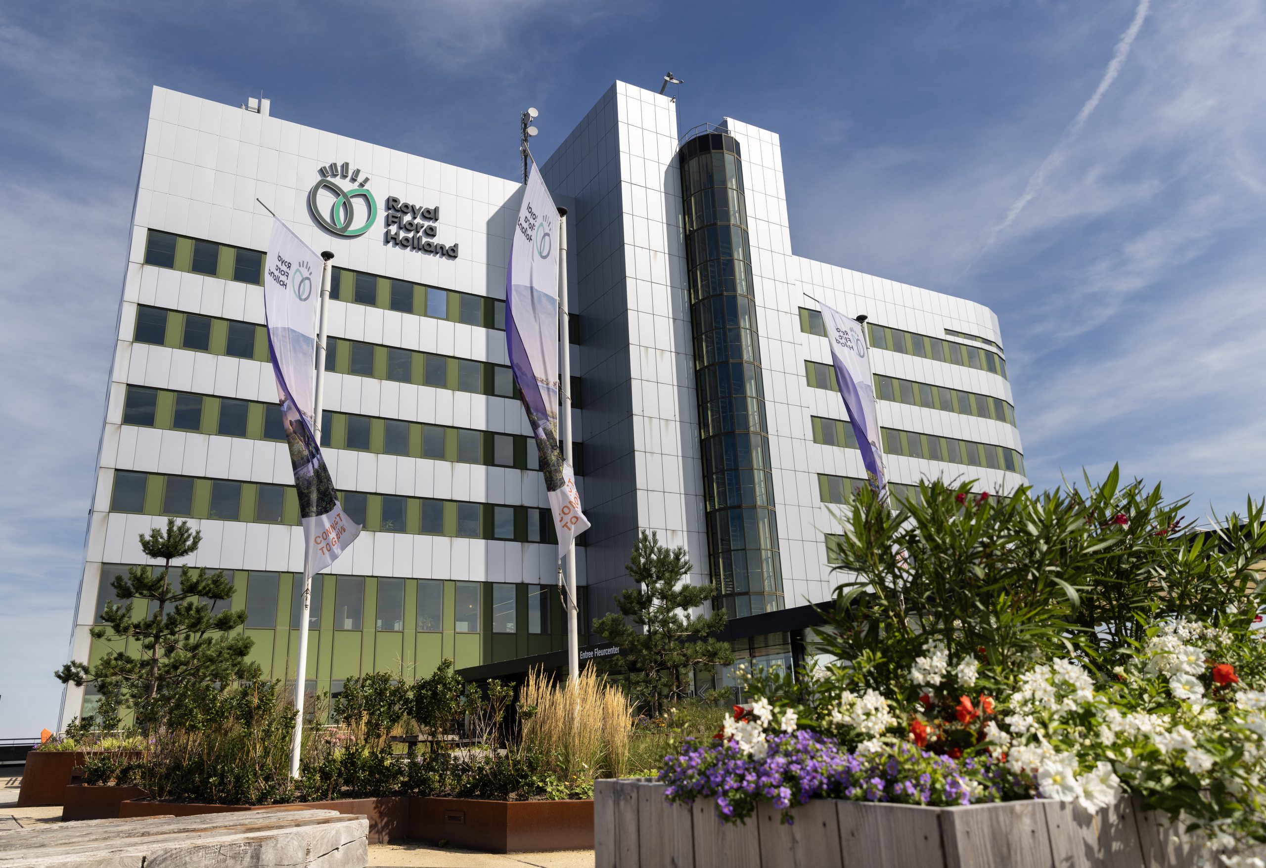 Empowering Royal FloraHolland with a new credit line to support its sustainability efforts