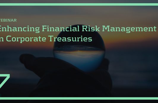 Enhancing Financial Risk Management in Corporate Treasuries