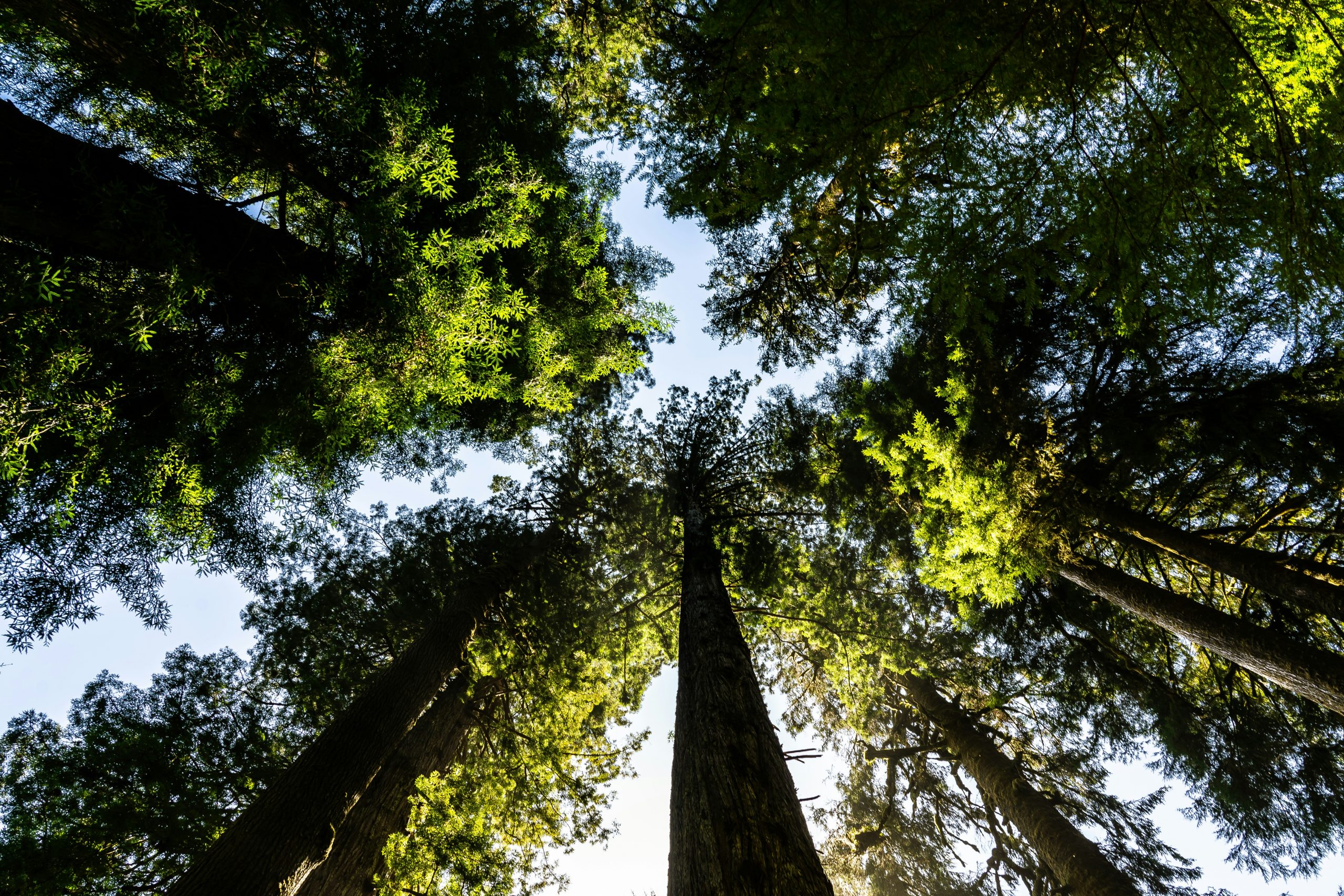 FINMA Circular on Nature-related Financial Risks - Zanders