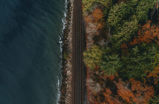 The New Rails: How Stablecoins Are Redefining Cross-Border Payments for Corporate Treasury