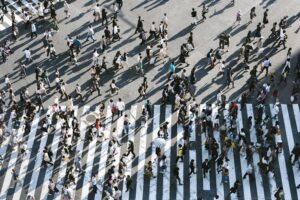 Market Information Friday 15 May 2026